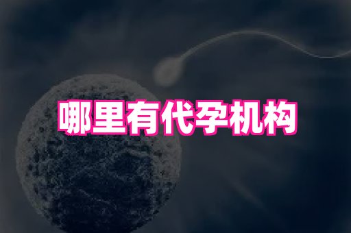 哈尔滨助孕网 1
