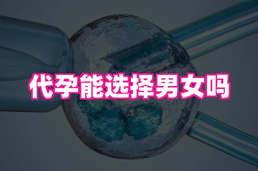 哈尔滨助孕网 3