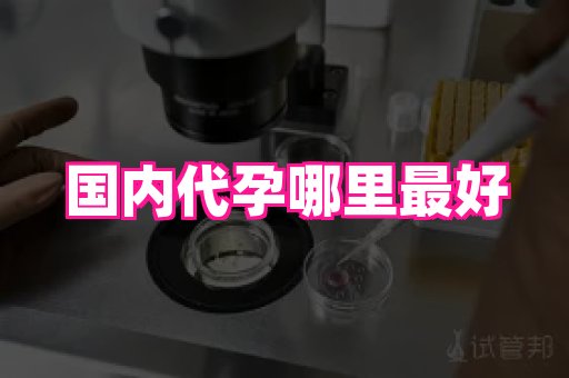 哈尔滨助孕网 4